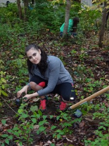 Antioch student, Sarah Goldstein, installs native plants in a restoration area in Glen Helen. 