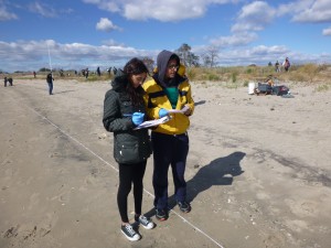 Students mark their transect coordinates 